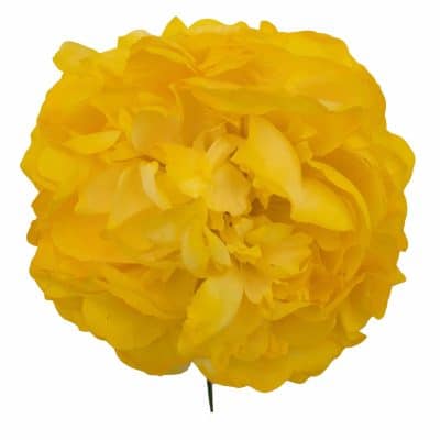 Flor de flamenca estilo peonía color Amarillo
