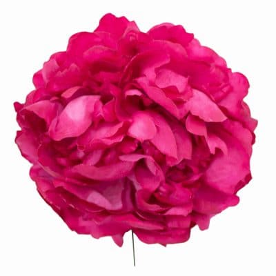 Flor de flamenco estilo peonia color Buganvilla