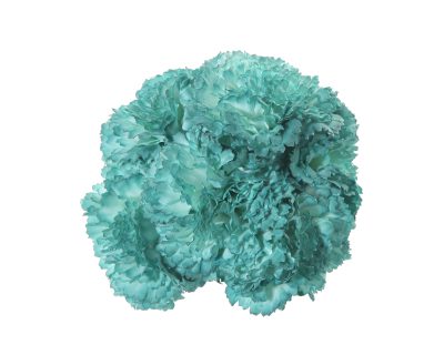 Ramillete de claveles de color Aguamarina Pastel