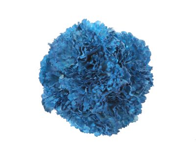 Ramillete de claveles de color Azul Azafata