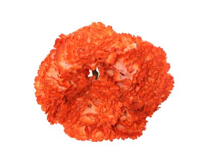 Ramillete de claveles de color Calabaza