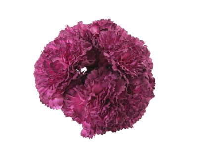 Ramillete de claveles de color Cardenal