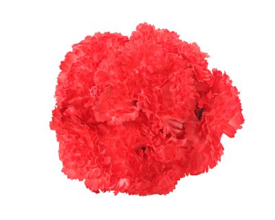 Ramillete de claveles de color Coral