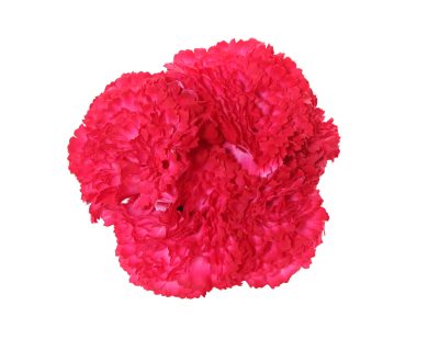 Ramillete de claveles de color Coral Piedra