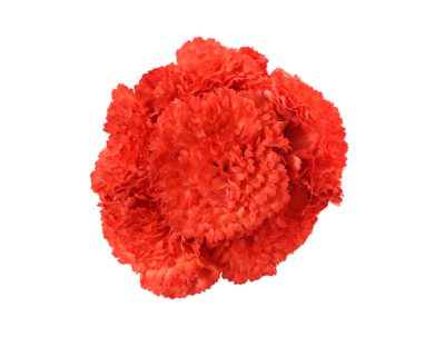 Ramillete de claveles de color Coral Pimiento