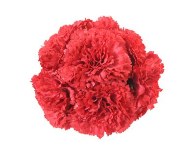 Ramillete de claveles de color Coralina