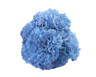 Ramillete de claveles de color Ducado