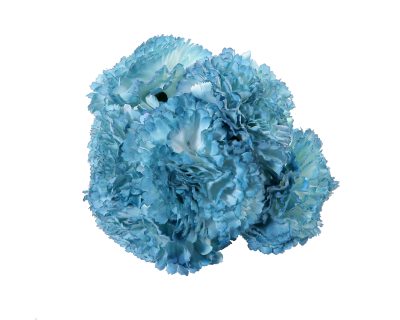 Ramillete de claveles de color Ducado Antiguo