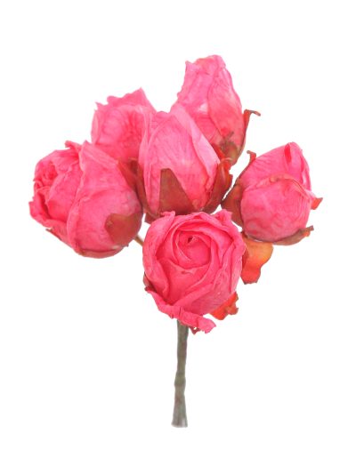 Capullo envejecido de rosas color Fresa