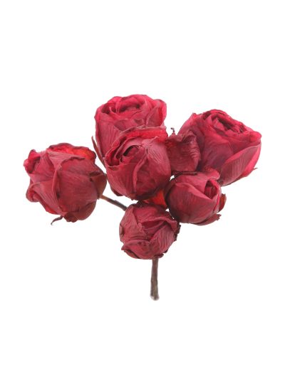 Capullo envejecido de rosas color Guinda