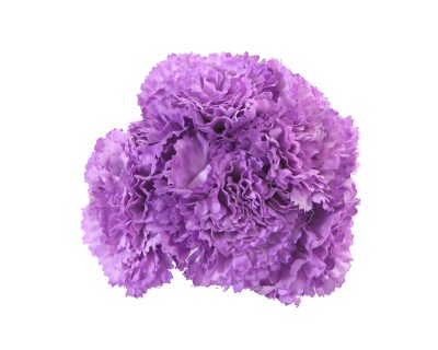 Ramillete de claveles de color Lila