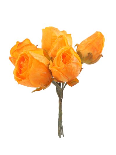 Capullo envejecido de rosas color Mostaza