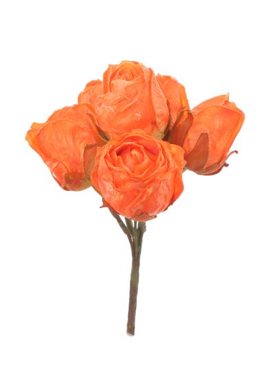 Capullo envejecido de rosas color Naranja