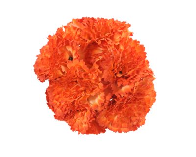 Ramillete de claveles de color Naranja