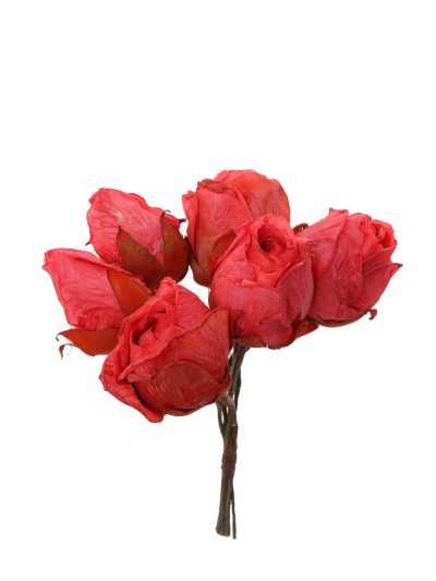 Capullo envejecido de rosas color Rojo