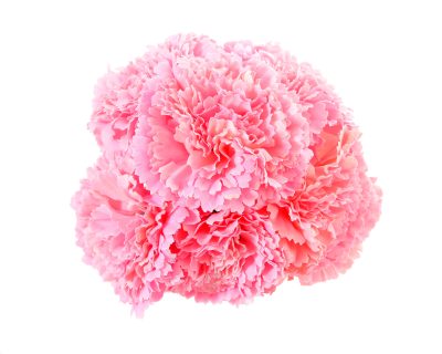 Ramillete de claveles de color Rosa Bebé