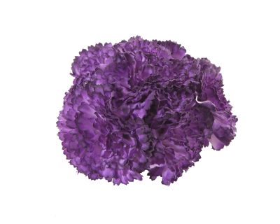 Ramillete de claveles de color Ultravioleta