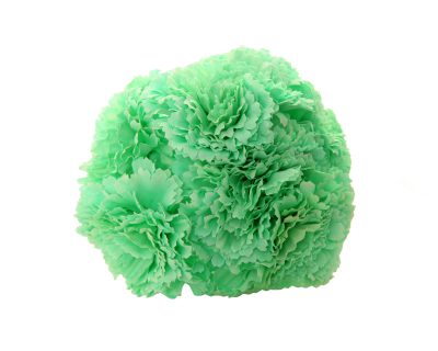 Ramillete de claveles de color Verde Agua