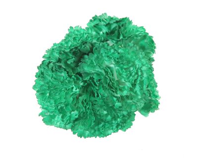Ramillete de claveles de color Verde Andalucía