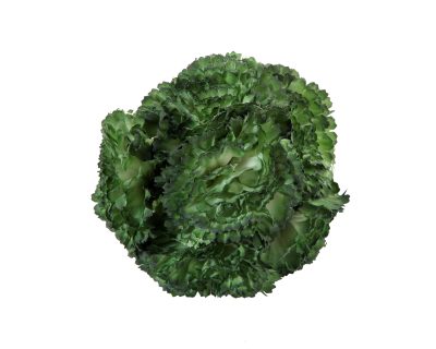 Ramillete de claveles de color Verde Caqui