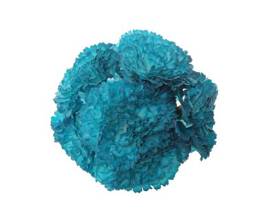 Ramillete de claveles de color Azul Zafiro