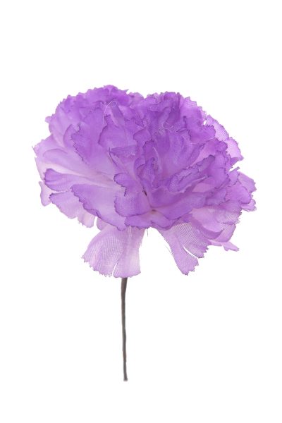 Clavellina de niña lila