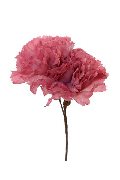 Clavellina de niña maquillaje oscuro