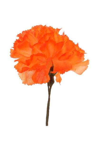 Clavellina de niña naranja chillón