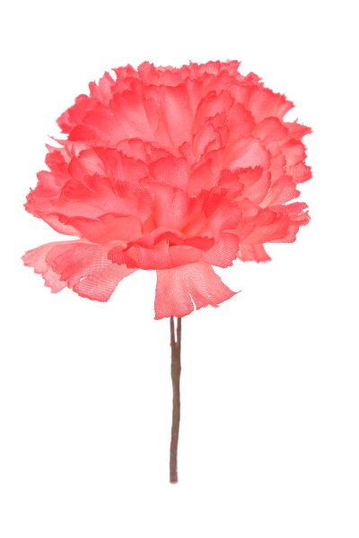 Clavellina de niña rojo gitano