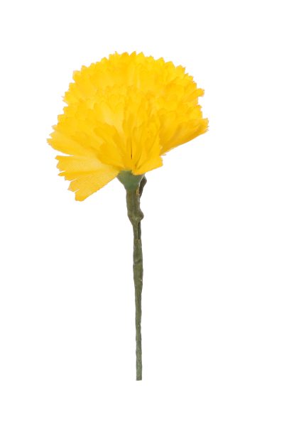 Clavellina de niña mini amarilla