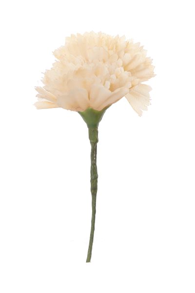 Clavellina de niña mini beige