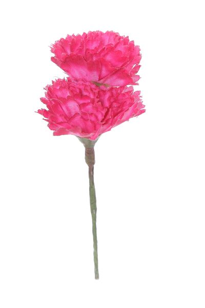 Clavellina de niña mini buganvilla