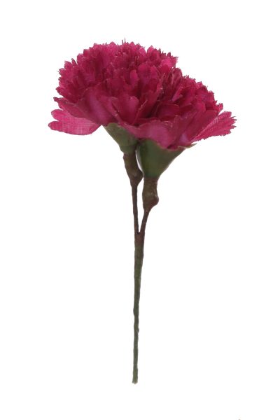 Clavellina de niña mini burdeos