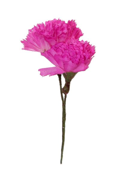 Clavellina de niña mini cardenal