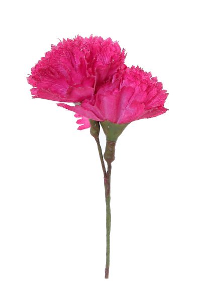 Clavellina de niña mini frambuesa