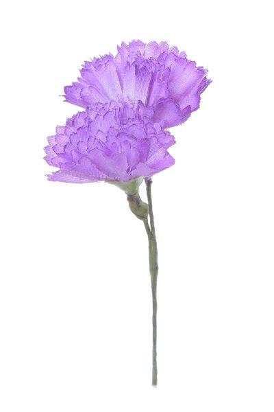 Clavellina de niña mini lila