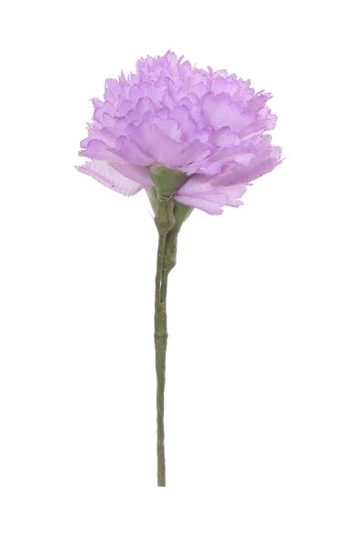 Clavellina de niña mini malva