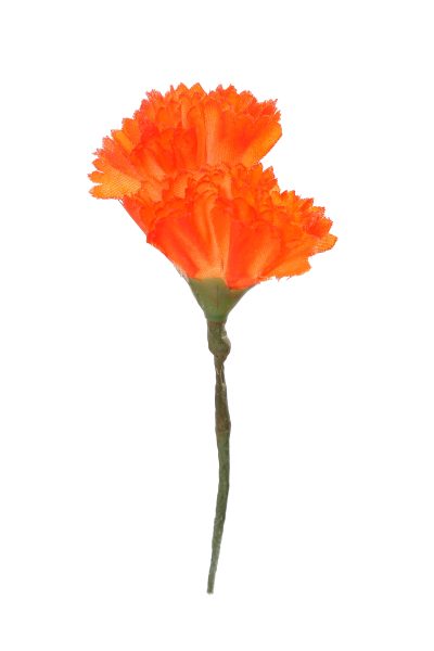 Clavellina de niña mini naranja chillón