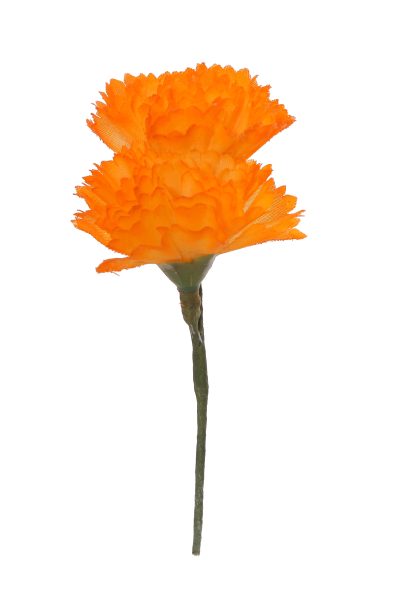 Clavellina de niña mini naranja