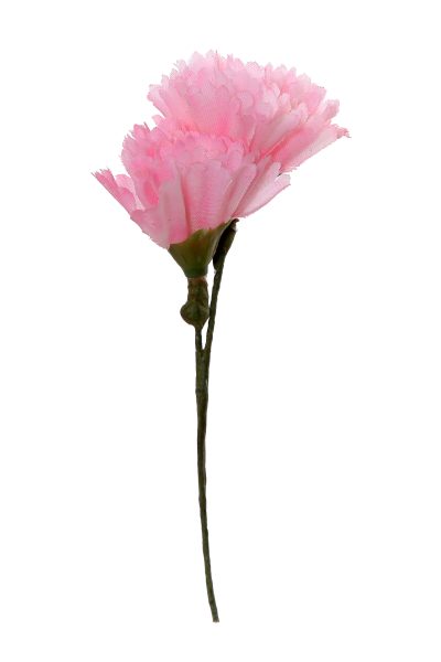 Clavellina de niña mini rosa bebé