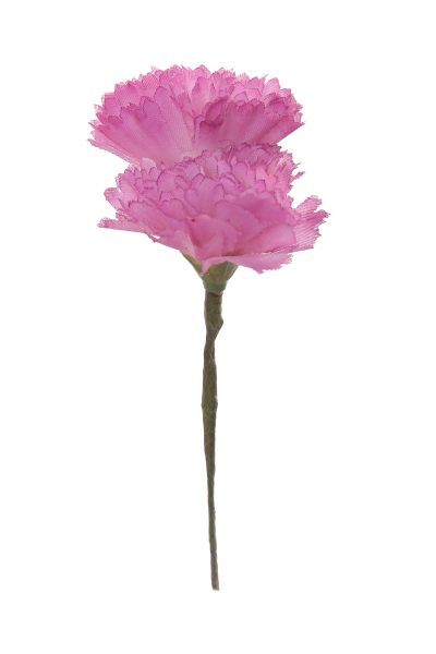 Clavellina de niña mini rosa malva