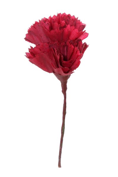 Clavellina de niña mini tinto