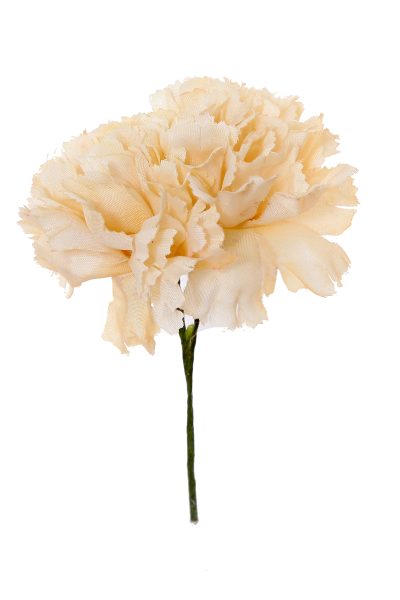 Clavellina de niña beige