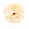 Flor de flamenca estilo peonia color Marfil