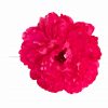 Flor de flamenca estilo peonia color Fucsia