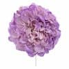 Flor de flamenca estilo peonia color Malva