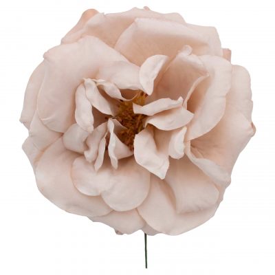 Rosa de flamenca color Beige