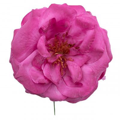 Rosa de flamenca color Buganvilla