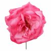 Rosa de flamenca color Rosa