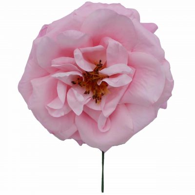 Rosa de flamenca color Rosa Bebé